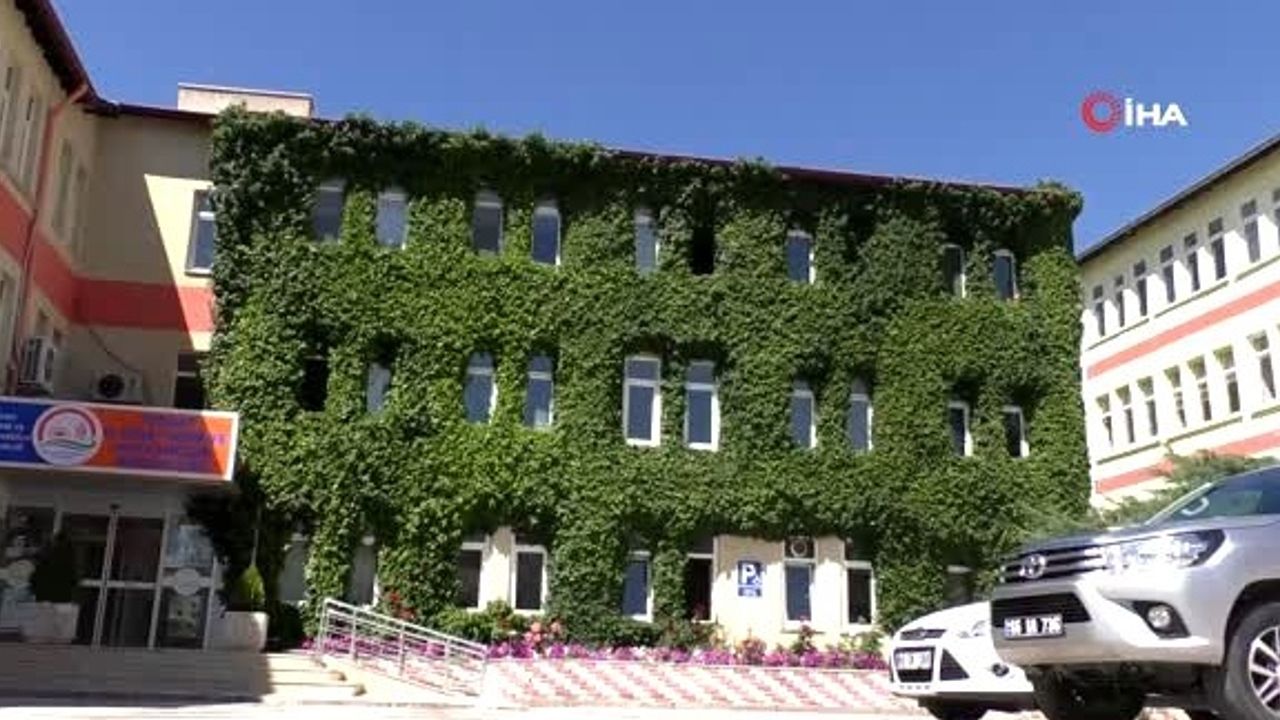 Sarmaşıklarla kaplı olan Tarım ve Orman Müdürlüğü binası dikkat çekiyor