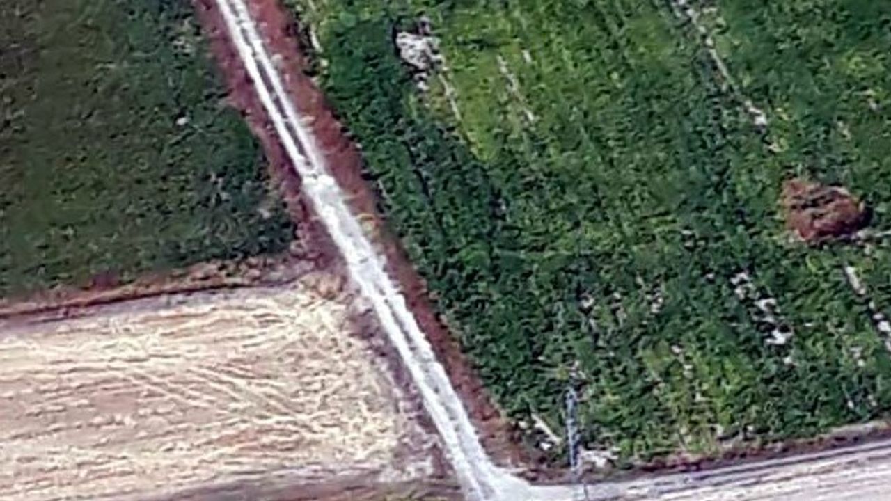 Jandarma son 1 yılda 5 ton esrarın piyasaya sürülmesini engelledi 