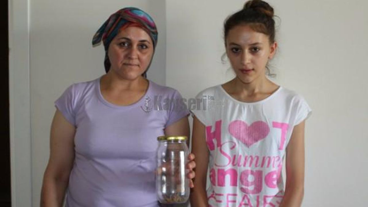 Sarıkız Örümceği İle İlgili Halk Sağlığı Müdürlüğü Harekete Geçti