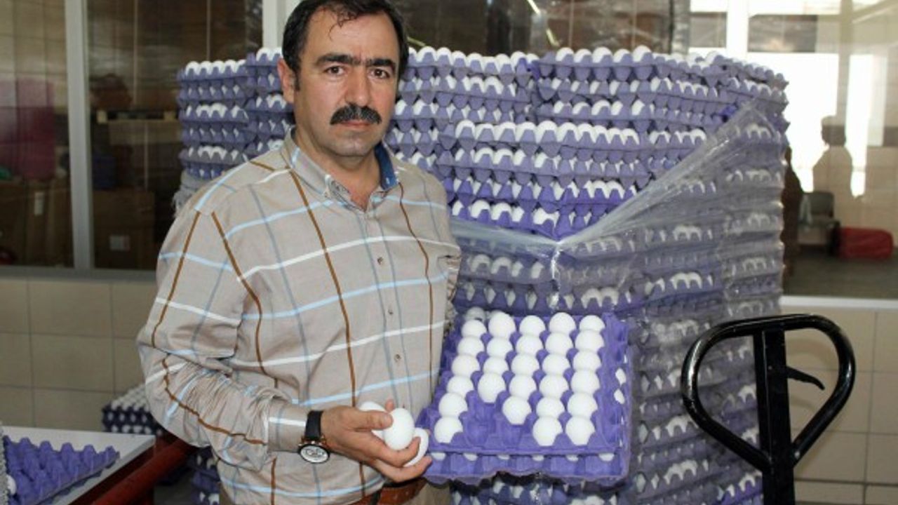 Yum-Bir Başkanı Afyon “Türk yumurtasında zehir yok”