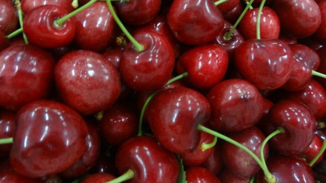 Türkiye iki ayda 54 milyon dolarlık kiraz ihraç etti