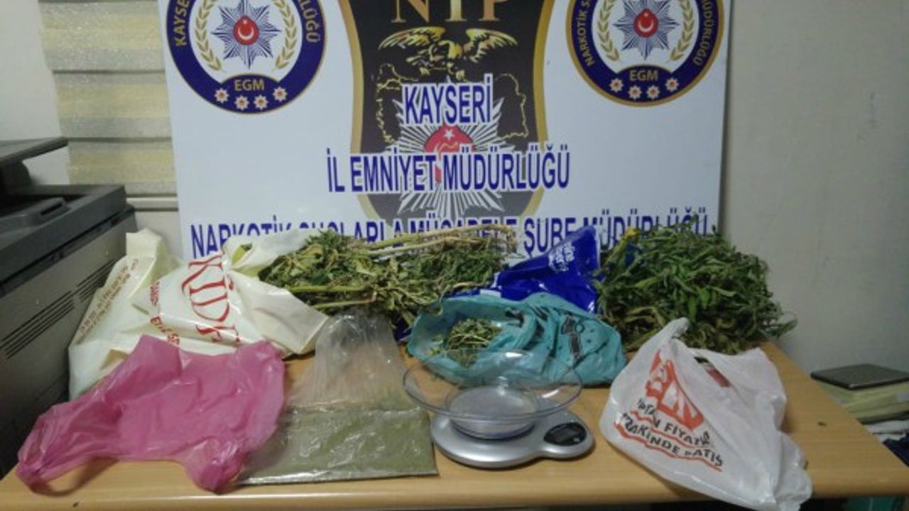 Uyuşturucu operasyonunda 164 kök Hint keneviri ele geçirildi 