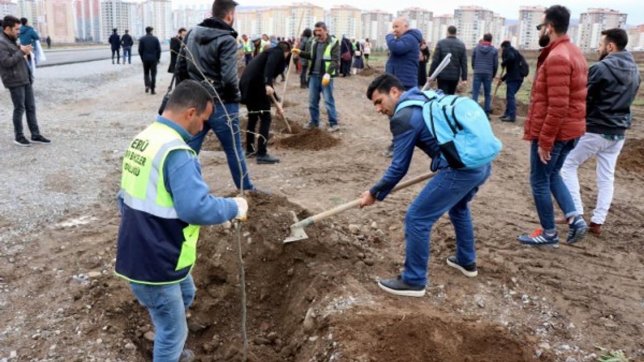 Öğrenciler Afrin ve El Bab şehitleri için ağaç dikti