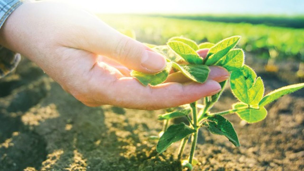 MEDAŞ, Ar-Ge Projesiyle kesinti sürelerini daha da azaltacak