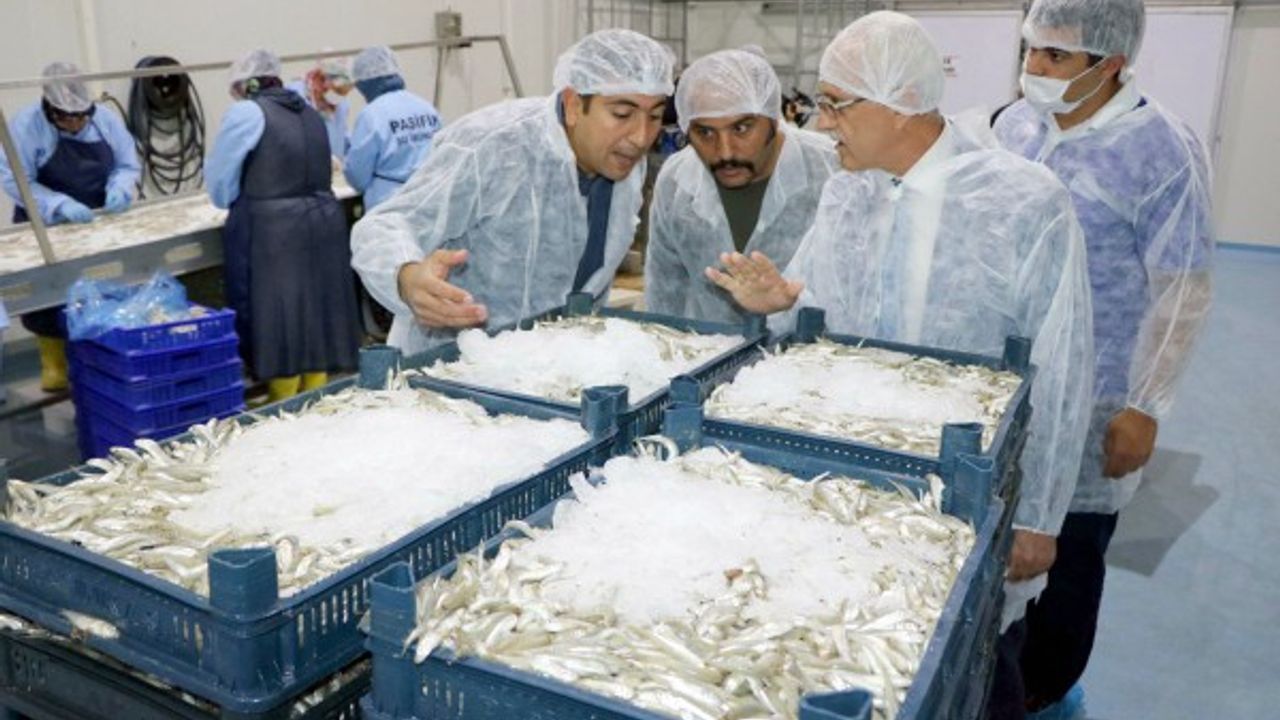 Türkiye’de Rağbet Görmüyor, Avrupa’da Yok Satıyor 