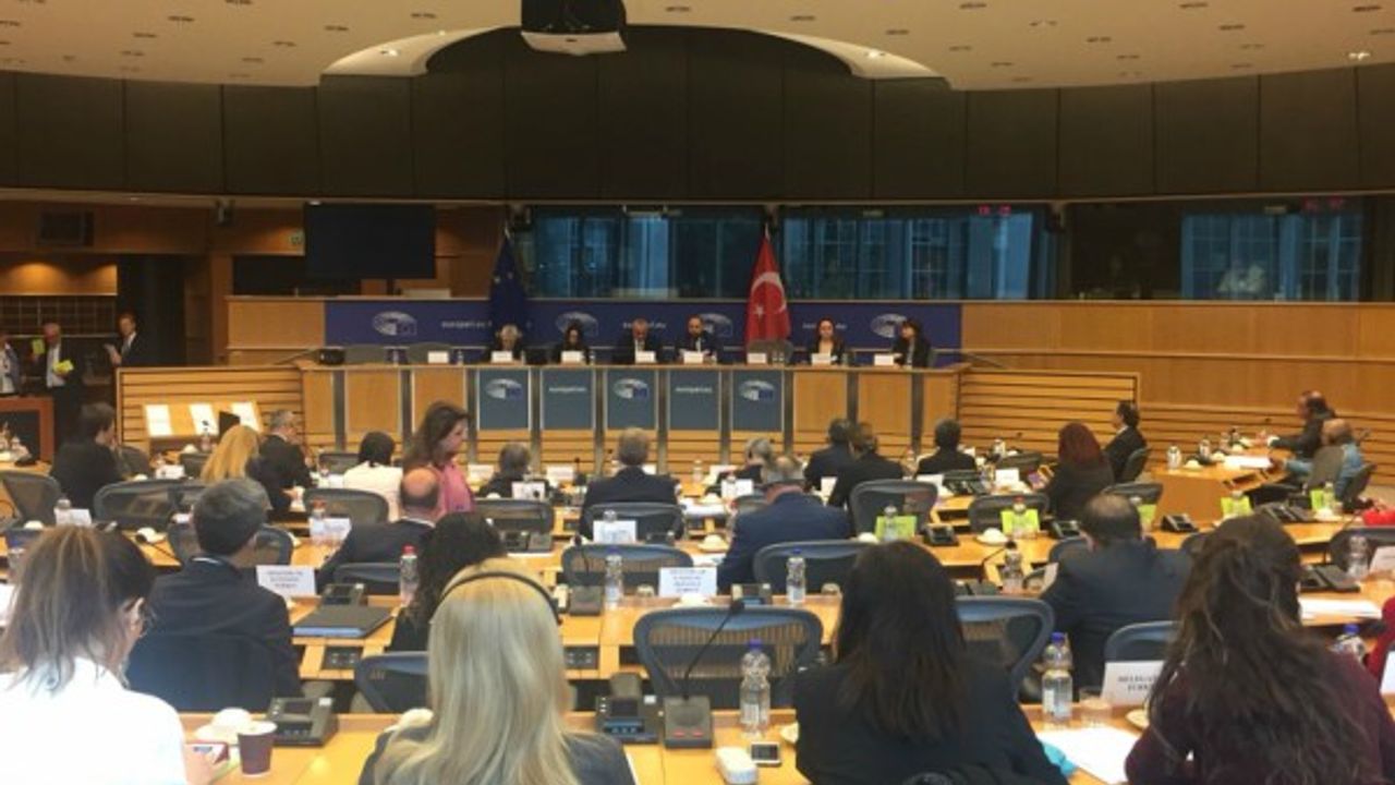 Karayel, Türkiye-Avrupa Birliği Karma Parlamento Komisyonu’nun 77. Toplantısında konuştu 