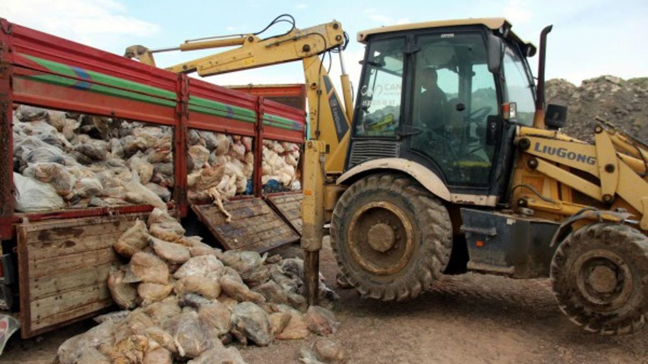 Kayseri’de ele geçirilen 14 ton kaçak sakatat imha edildi