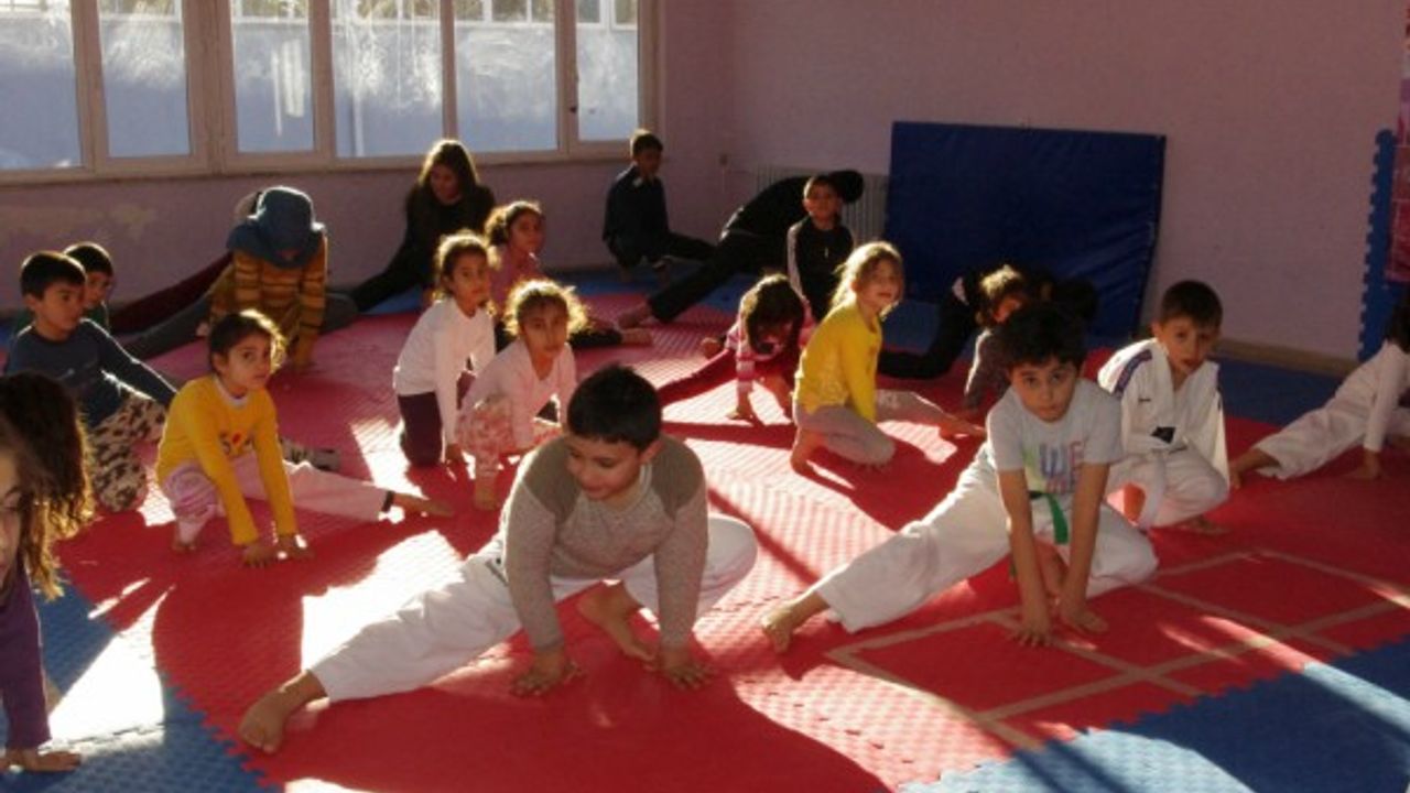 Kaman Gençlik Merkezi taekwondo kursunda 34 genç eğitim görüyor