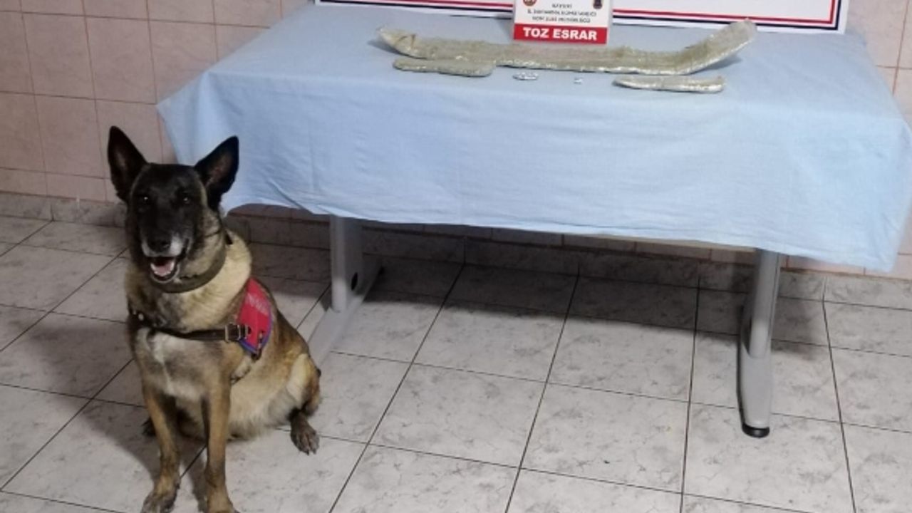 Jandarma, Pınarbaşı’da yolcu otobüsünde toz esrar ele geçirdi