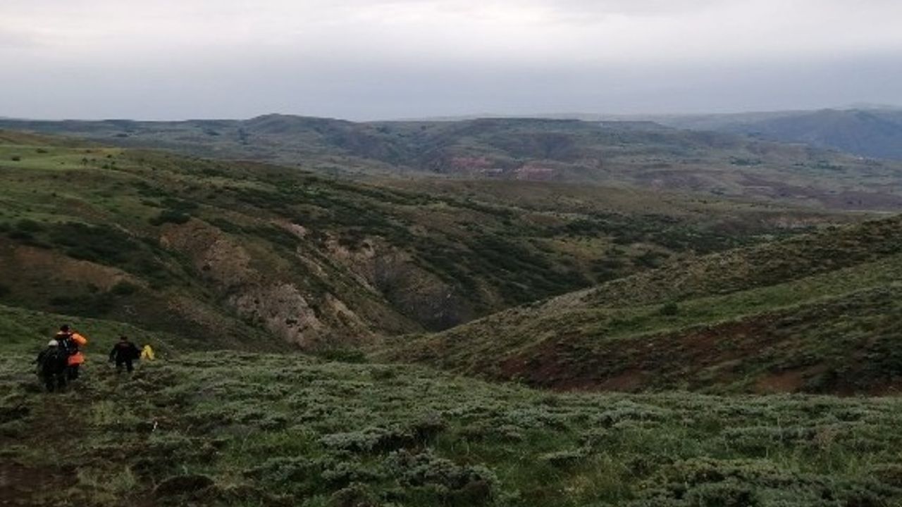 Uçuruma yuvarlanan inek itfaiye tarafından kurtarıldı