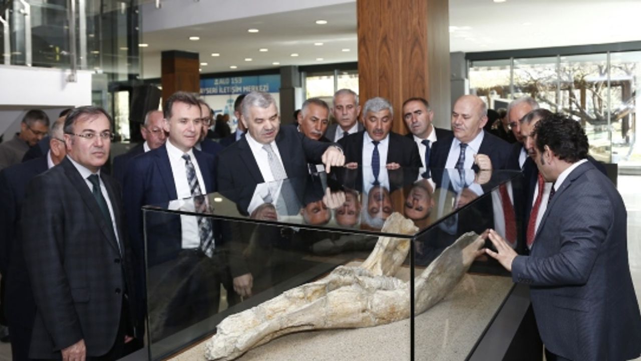 Dünyada tek örneği bulunan 7,4 milyon yıllık fosiller sergide ziyarete açıldı 