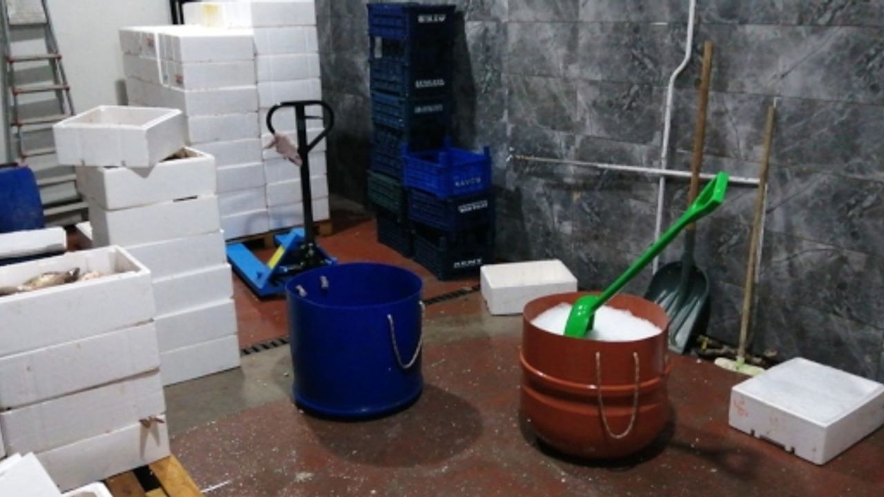 Kaçak ve sağlıksız depolanan 15 ton balık imha edildi 