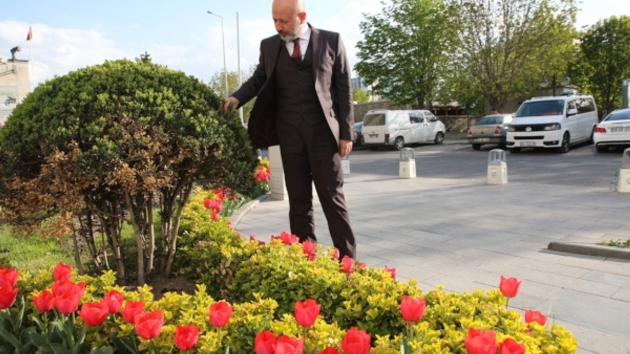Çolakbayrakdar: "Yeşil alan miktarı daha da artırılacak" 