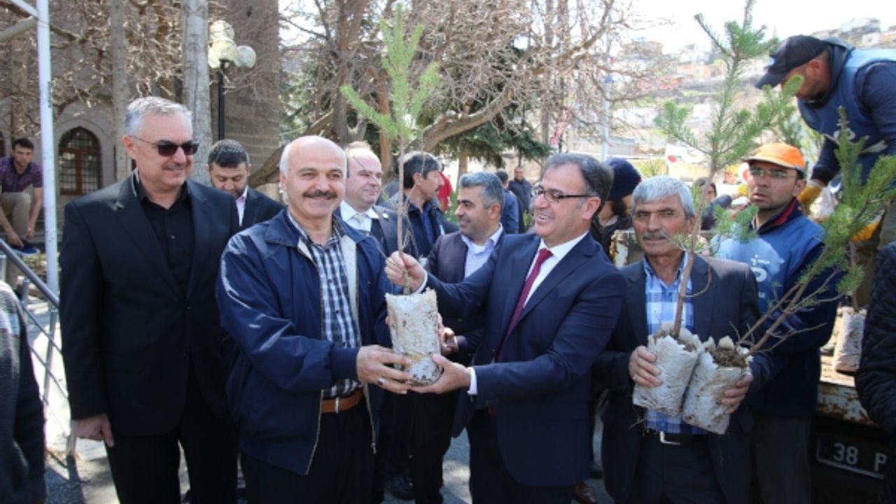Hacılar'da yeşil bir çevre için 800 fidan dağıtıldı 