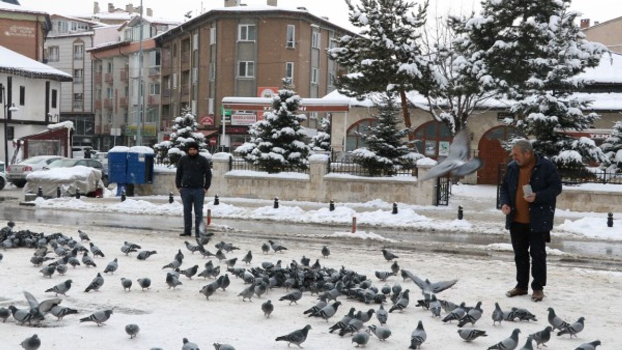 500 yıllık han aç güvercinlere ev sahipliği yapıyor