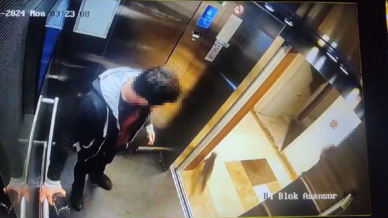 Kedi Vahşetindeki Gerçek Ortaya Çıktı
