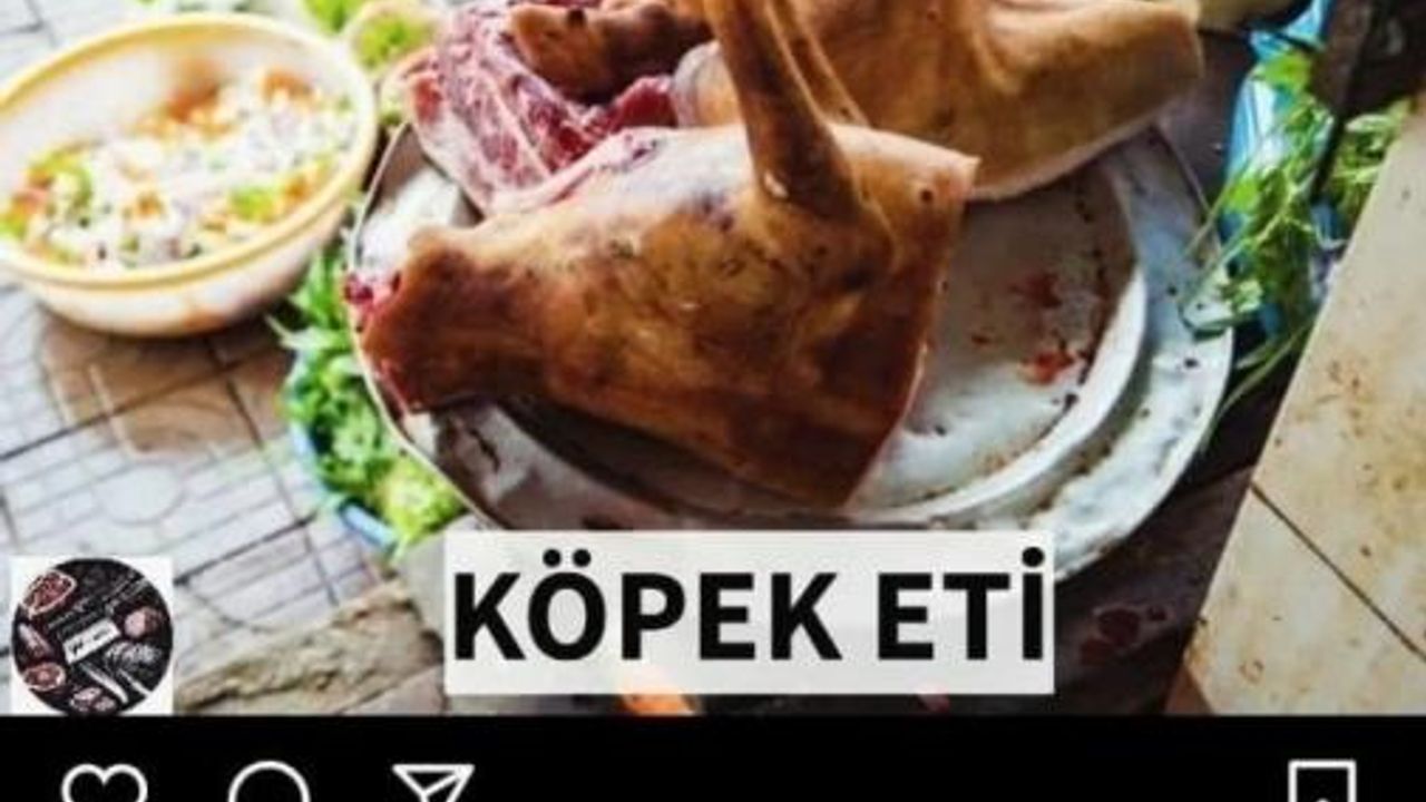 Köpek Eti Satışı İddiasında Gerçek Ortaya Çıktı