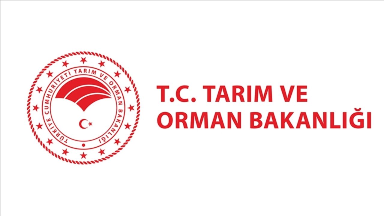 Başvuru Yapanlar Dikkat! Yarın Açıklanıyor!