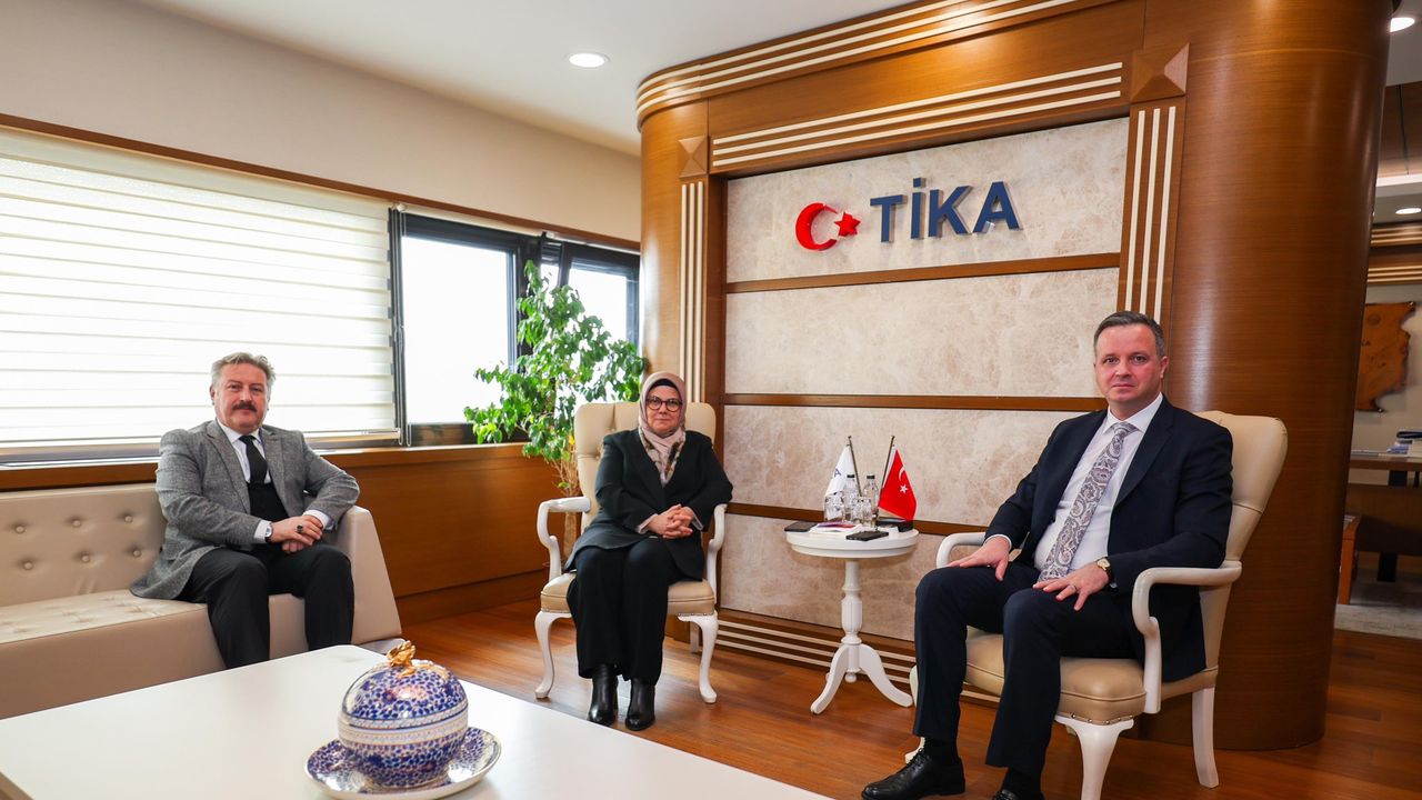 Mimar Sinan Dünyaya Tanıtılacak