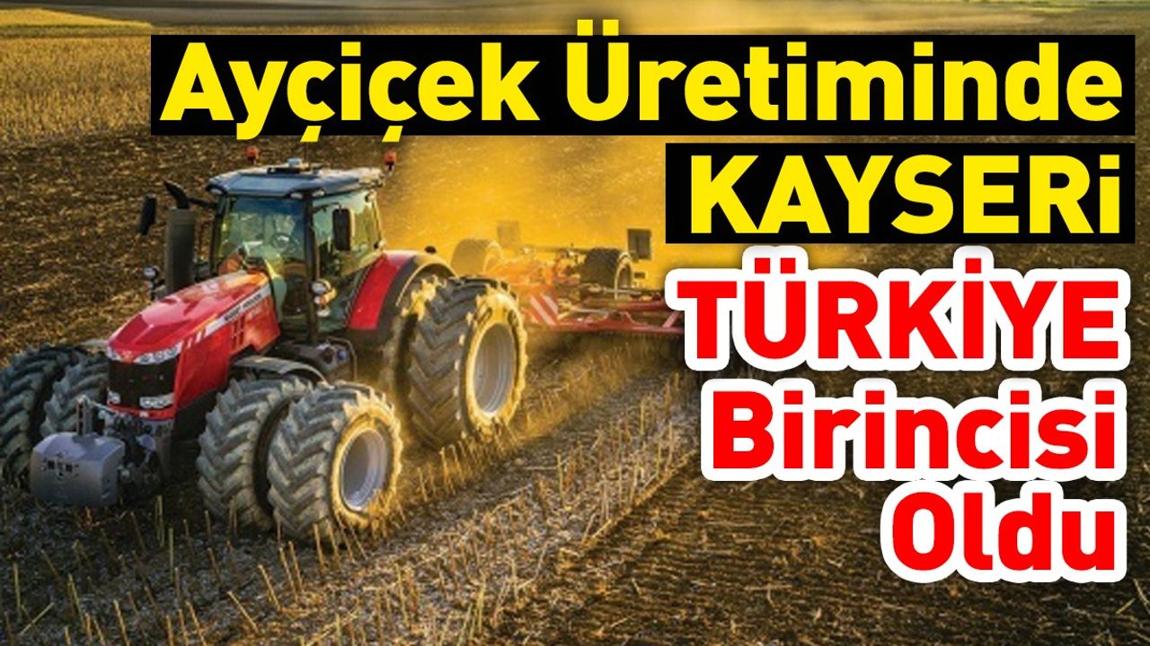 Kayseri Çerezlik Ayçiçek Üretiminde Türkiye Birincisi Oldu