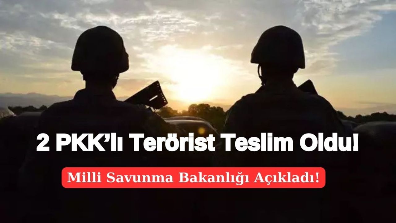 2 PKK’lı Terörist Teslim Oldu!