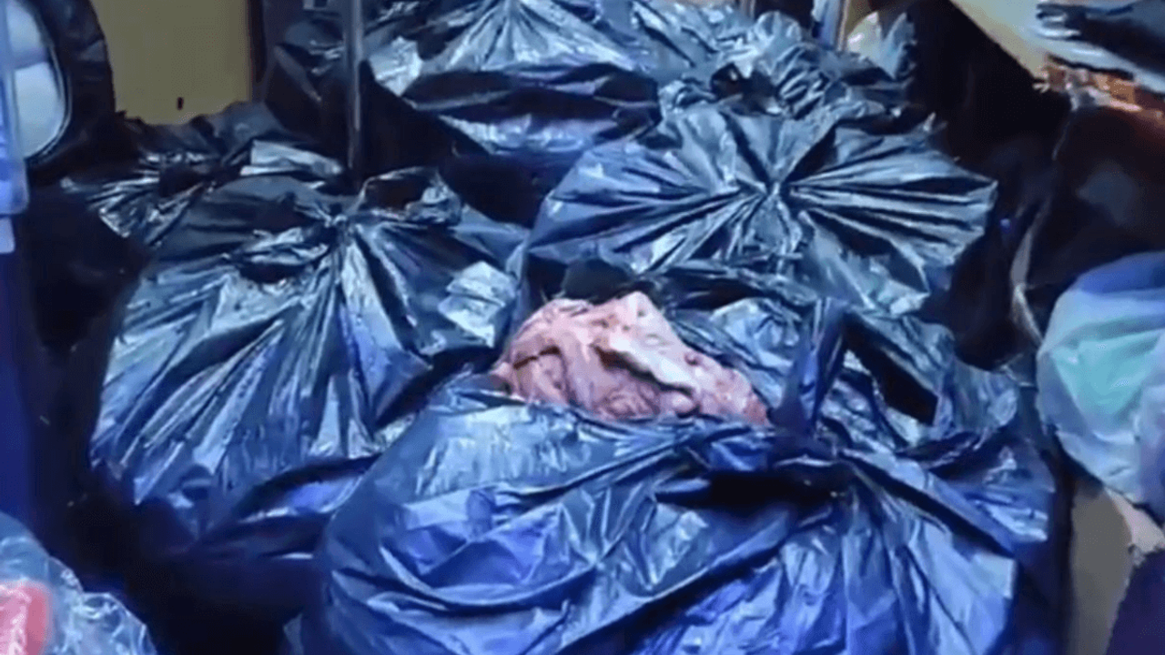 At Ve Eşek Eti Operasyonu: 700 Kilogram Ele Geçirildi