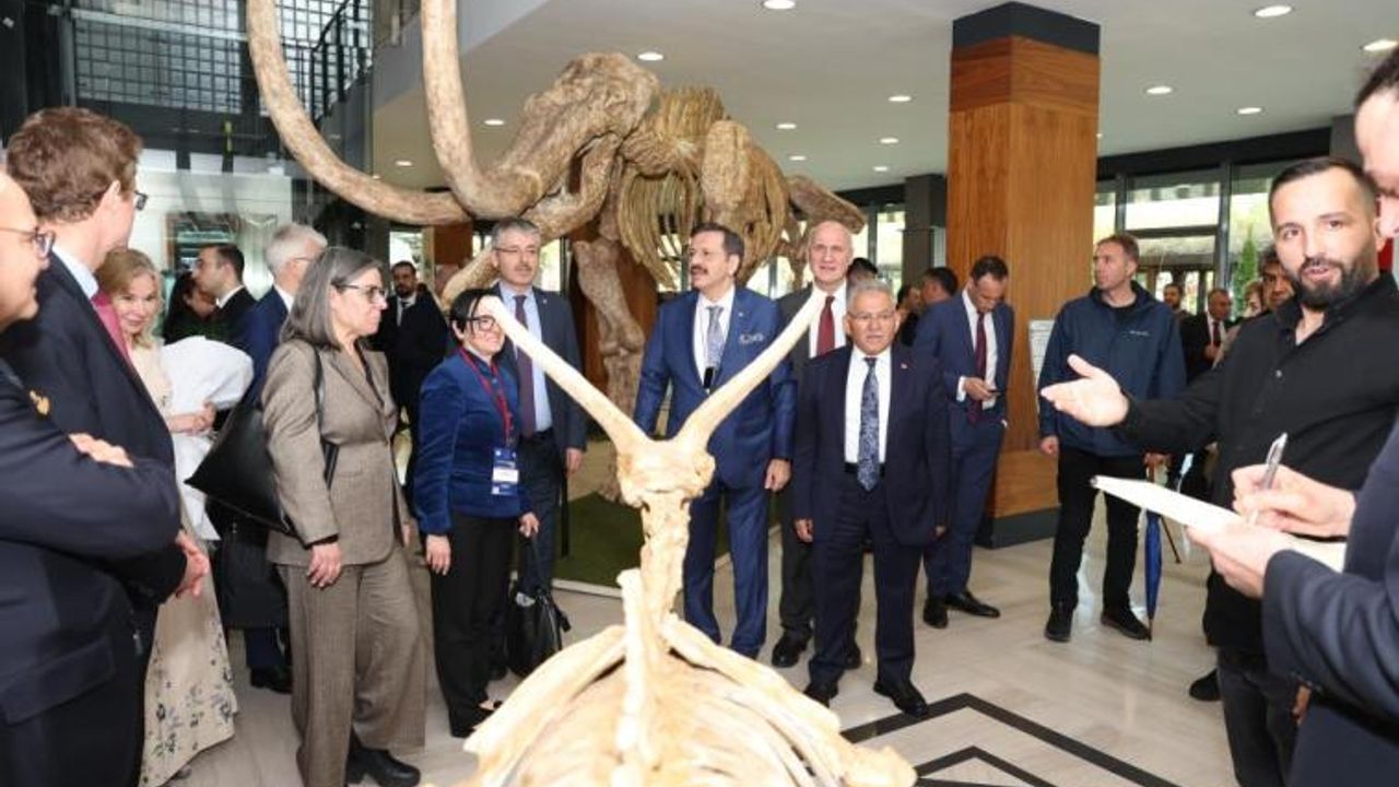 7.5 Milyon Yıllık Fosiller Avrupalı Büyükelçileri Mest Etti!