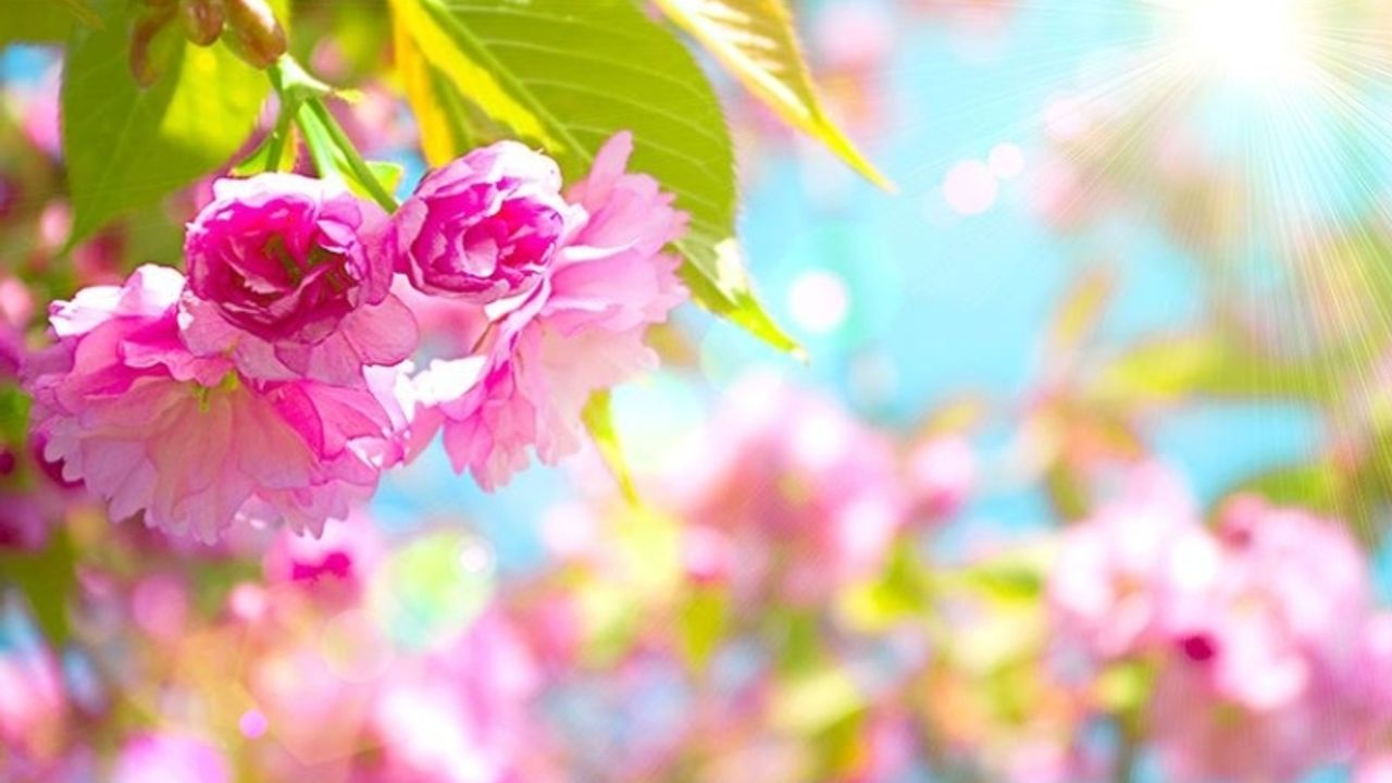 ERÜ Nevruz Bayramını Coşkuyla Kutlayacak
