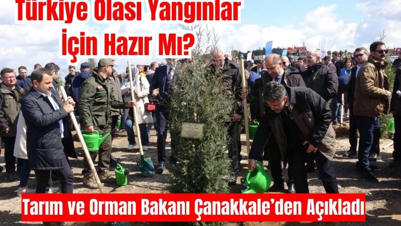 Türkiye, Olası Bir Orman Yangınına Hazırlıklı Mı?