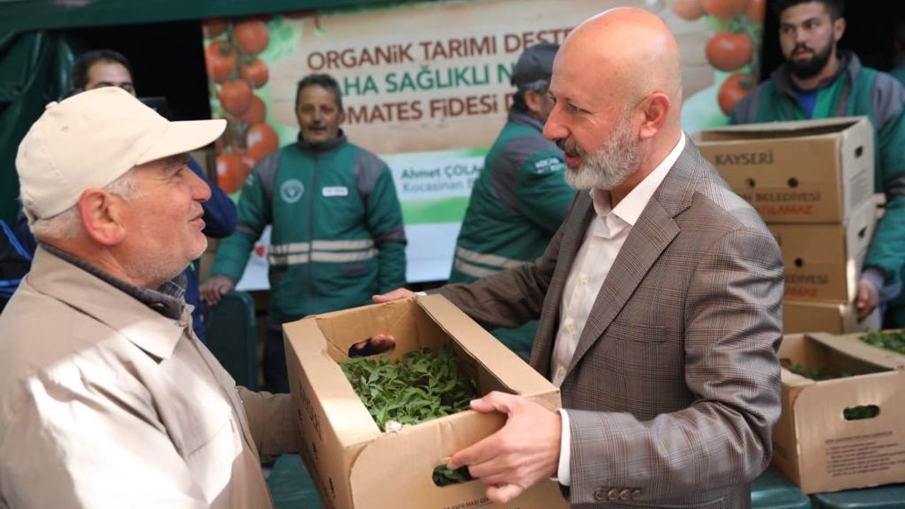 Domates Fidesi Dağıtımı İçin Geri Sayım Başladı!