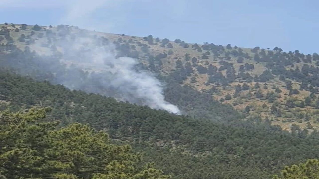 Adana'da Korkutan Orman Yangını