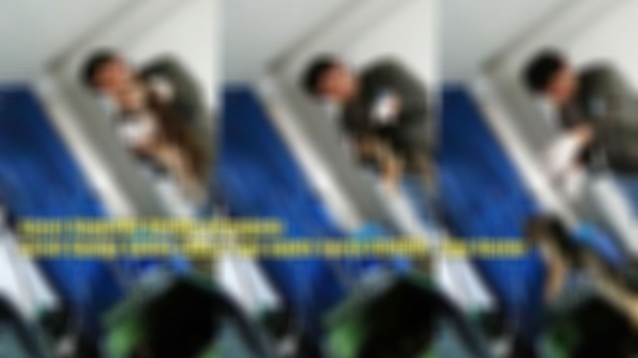 Kayseri’de Şok İddia! Köpeğin Kalbine Çamaşır Suyu Enjekte Edildi