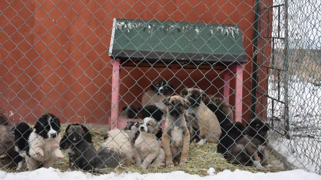 Vali Belediyelere Talimat Gönderdi! Zorunlu Olacak