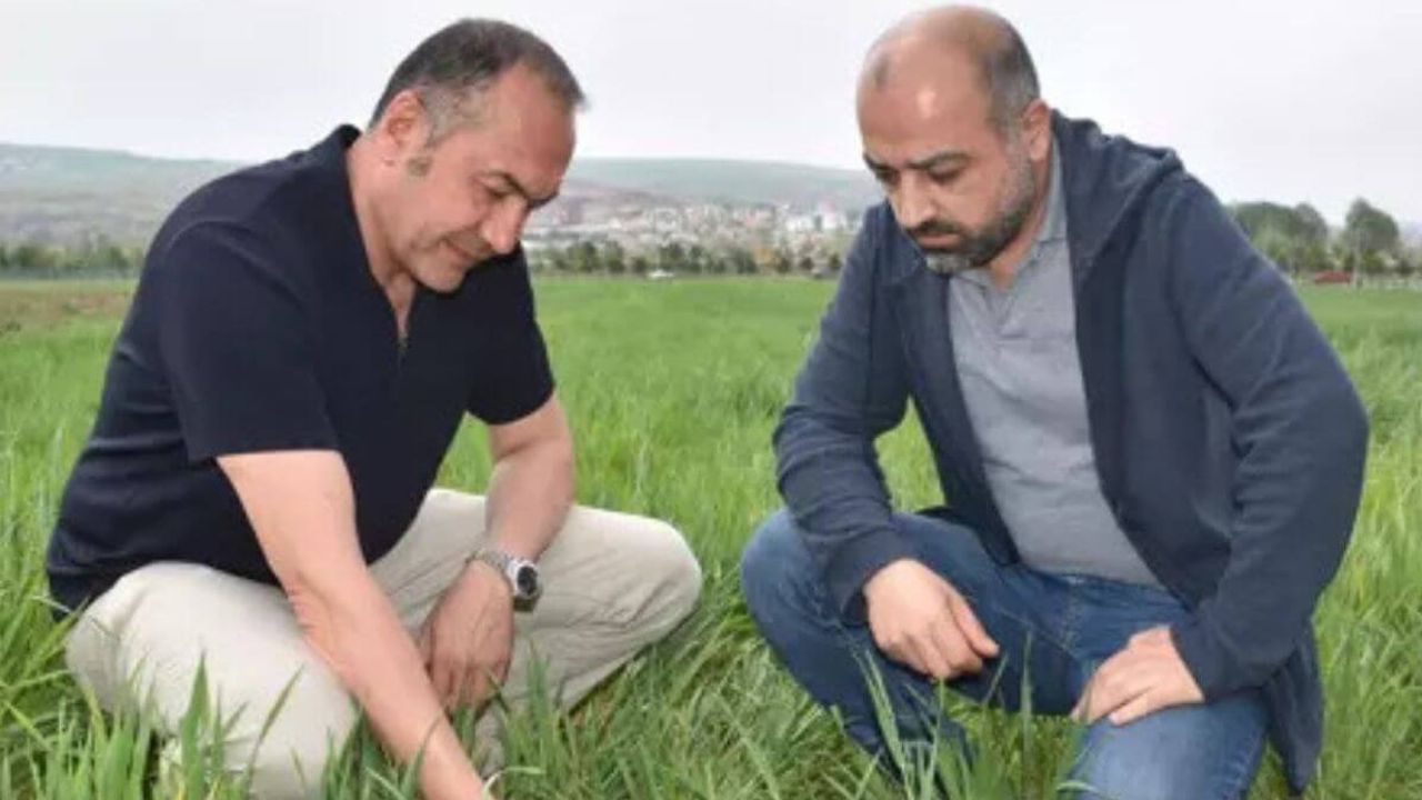Çiftçiler Dikkat! Tarlalardaki Büyük Tehlike!