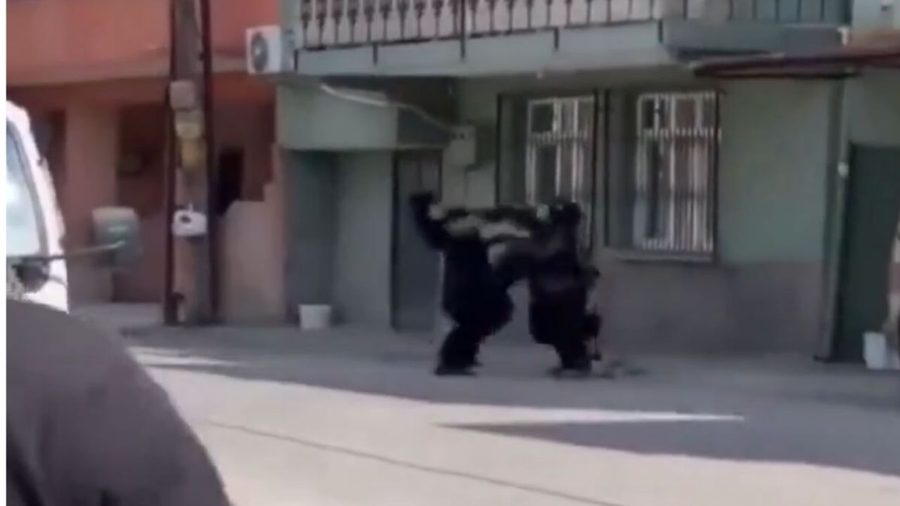 Kadın Dilenciler Birbirine Böyle Saldırdı!