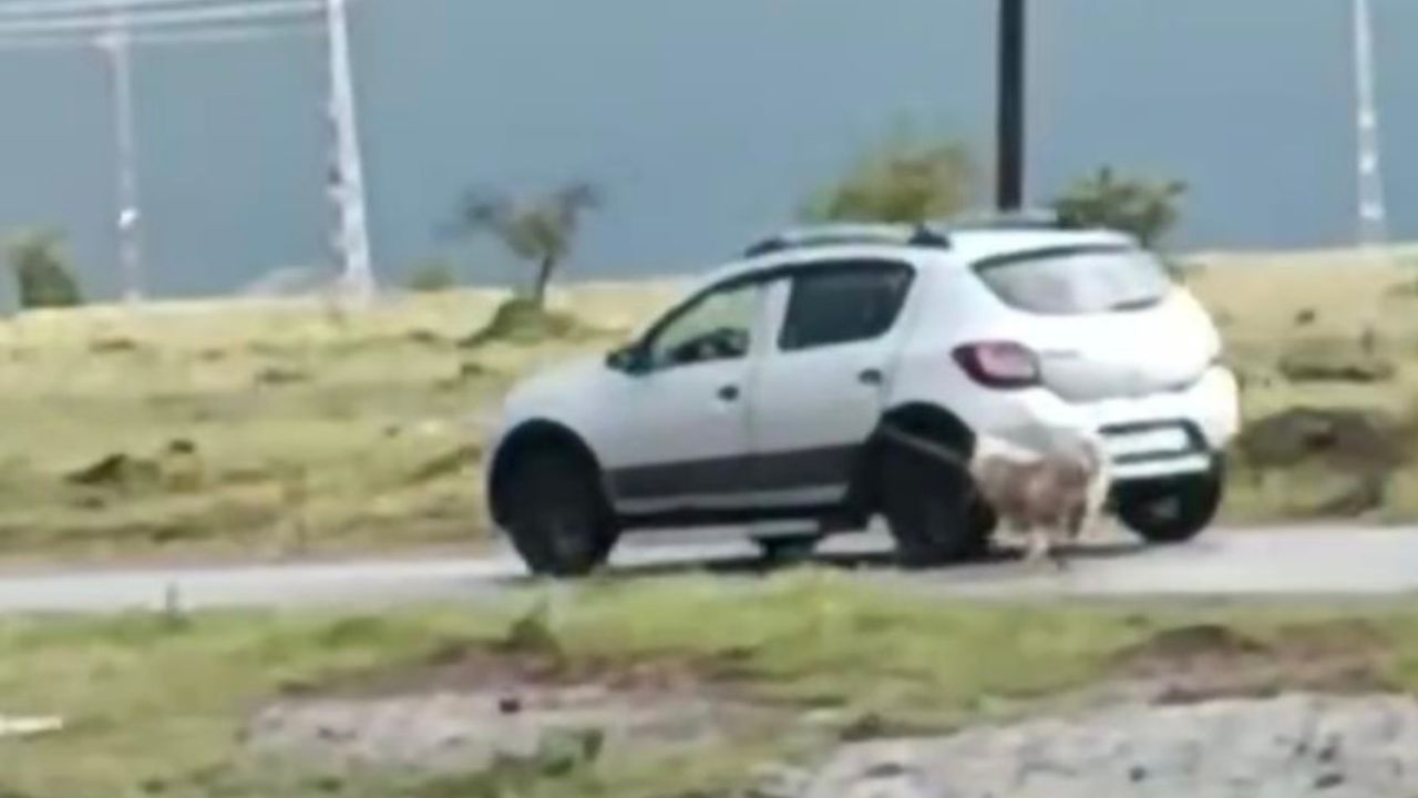 Kayseri’de Bir Cani Arabasına Bağladığı Köpeği Sürükledi