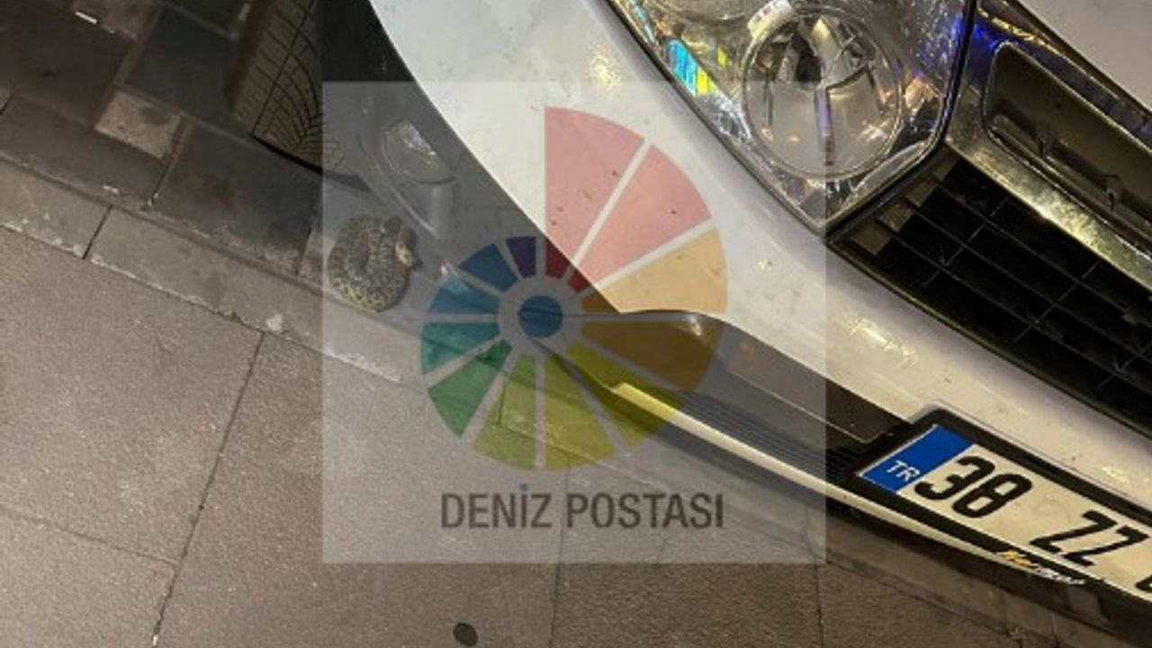 Kayseri’de Korkutan Görüntüler! AVM’de Yılan Paniği