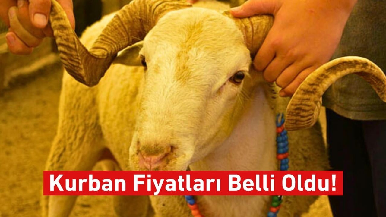 Kayseri’de Kurbanlık Fiyatları Netleşiyor!