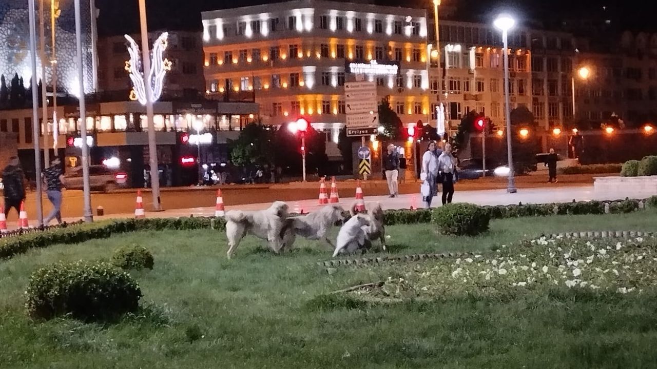 Kayseri'de Endişelendiren Görüntüler!