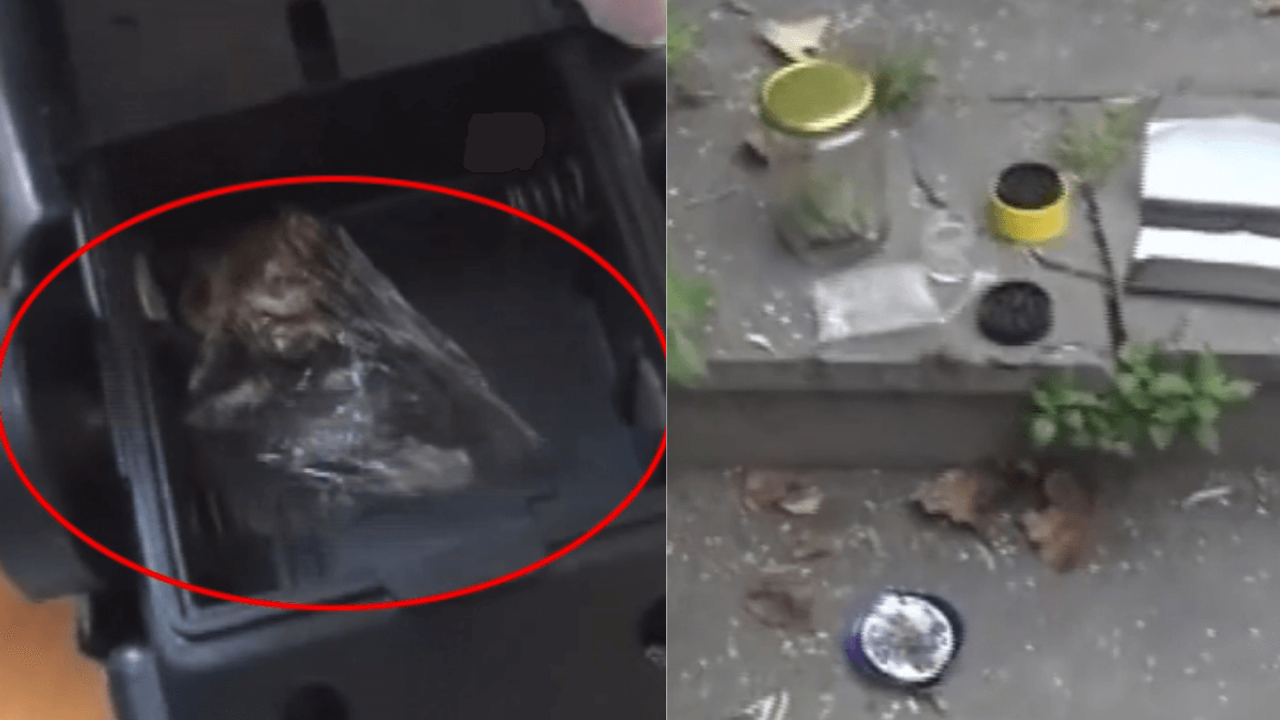 Ünlü Sanatçının Gözaltına Alındığı Operasyonunun Görüntüleri Ortaya Çıktı!