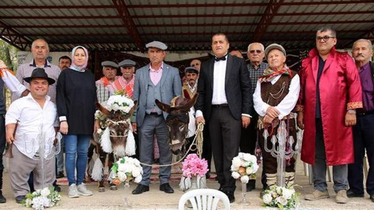 Şaka Gibi Olay: Eşeklere Nikah Kıydılar!