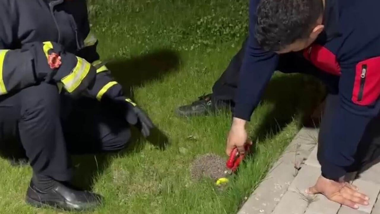 Sivas’ta İlginç Olay.. Adeta Yardım İstedi!