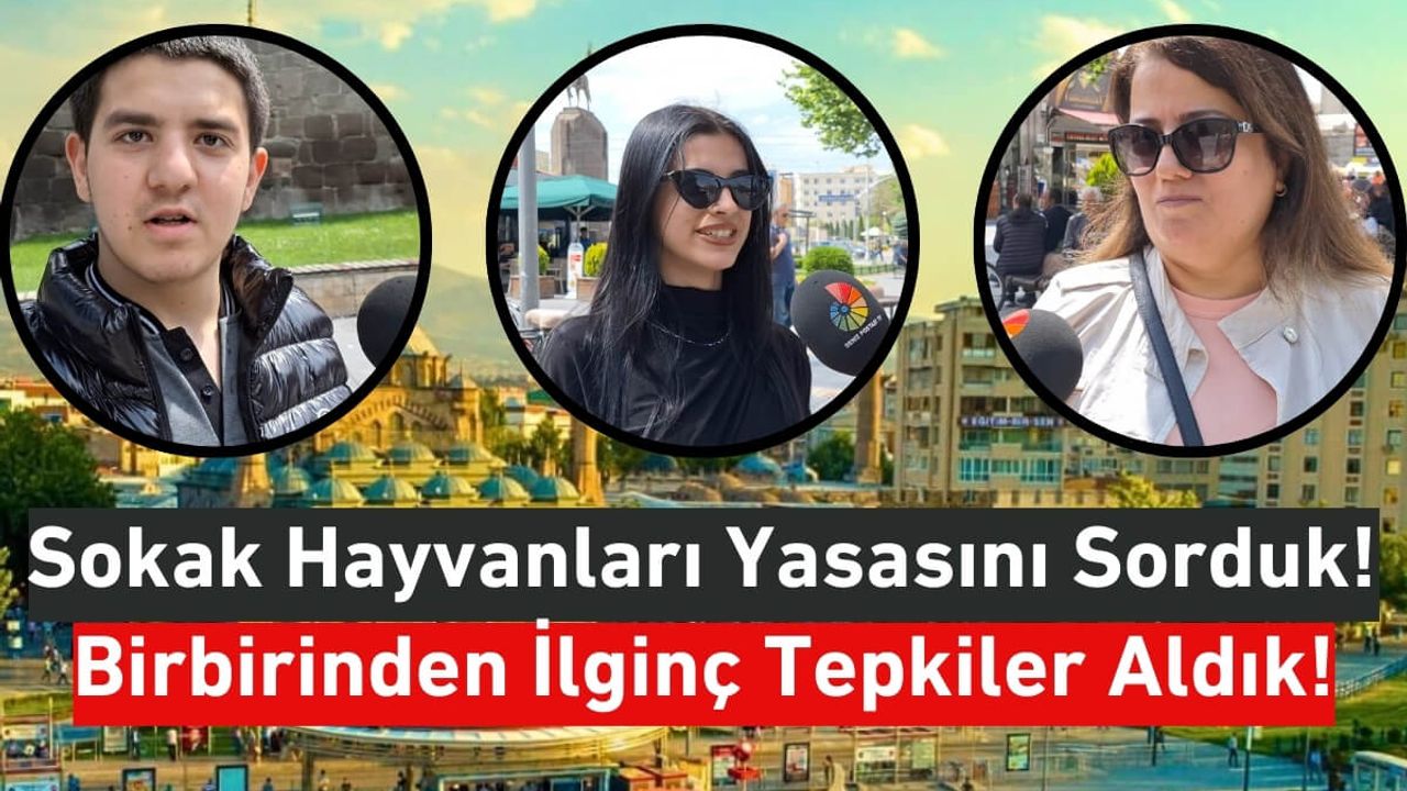 Kayserili Vatandaştan Kafa Karıştıran Açıklama: Bence Uyutulmalı, Biraz Dinlensinler