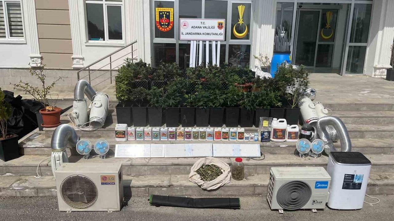 Evde Uyuşturucu Serası Kurdular ! Jandarma Affetmedi