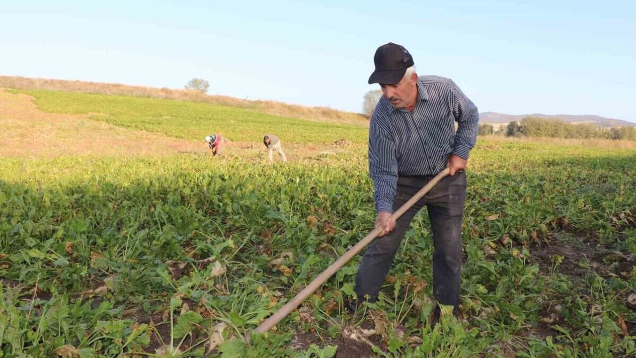 Bir Zam Haberi Daha Geldi! Yüzde 20 KDV Yolda!