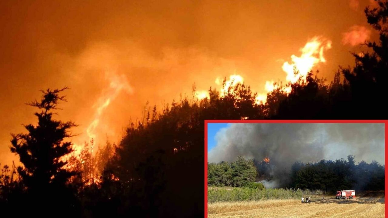 Çanakkale’deki Orman Yangını Hakkında Yeni Gelişmeler!