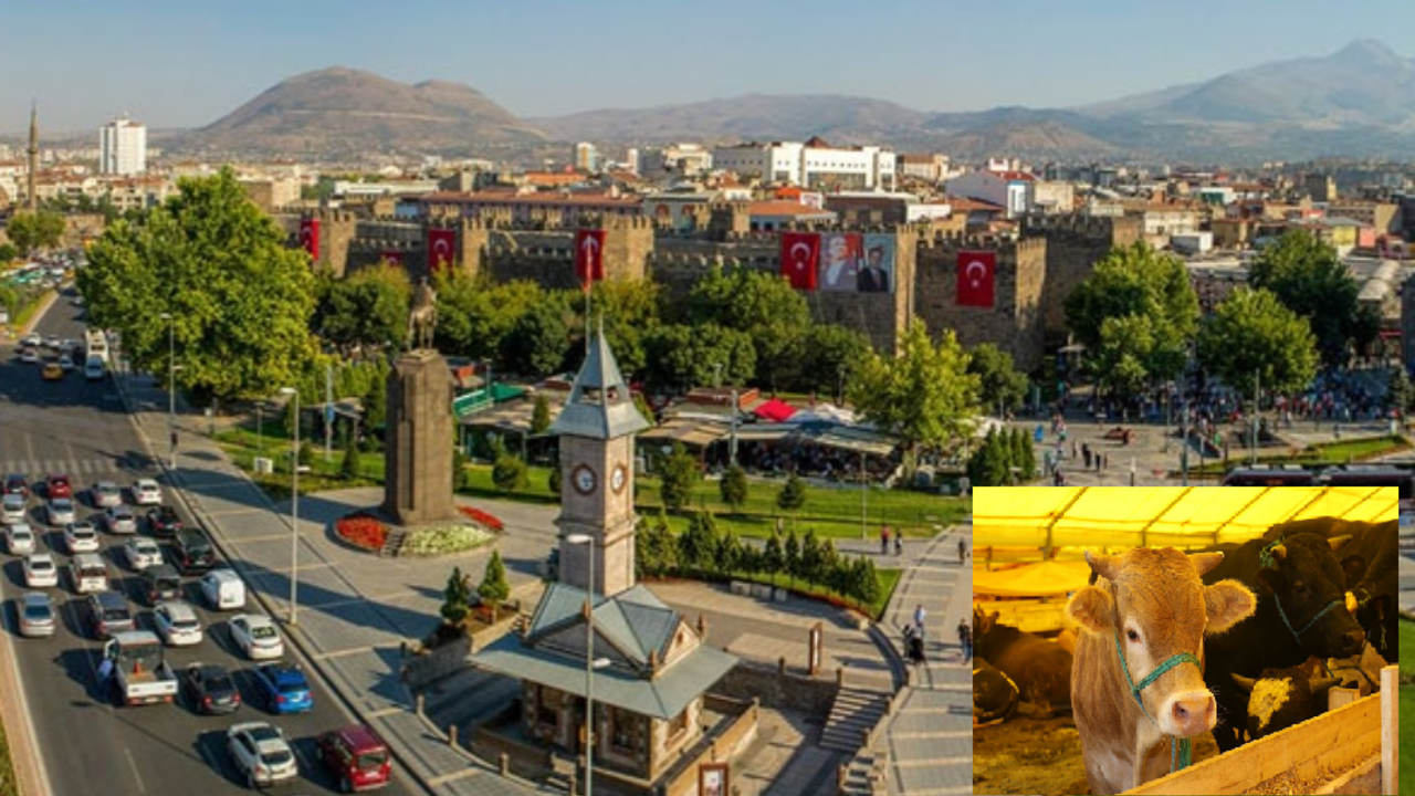 Kayseri’de Kurban Kesim Yerleri Ulaşım Saatleri Ve Güzergahları