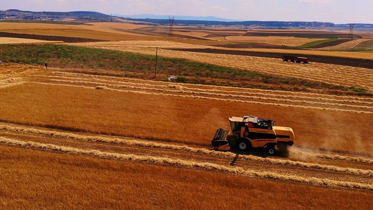 Kayseri, Konya, Aksaray, Yozgat Çiftçilerine Kötü Haber!