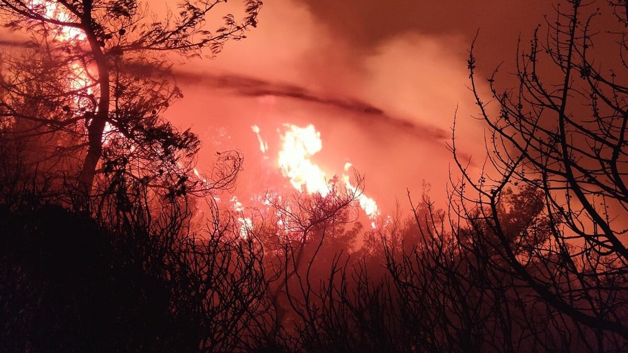 İzmir'den Aydın Kuşadasına Sıçrayan Yangın Durdurulamıyor