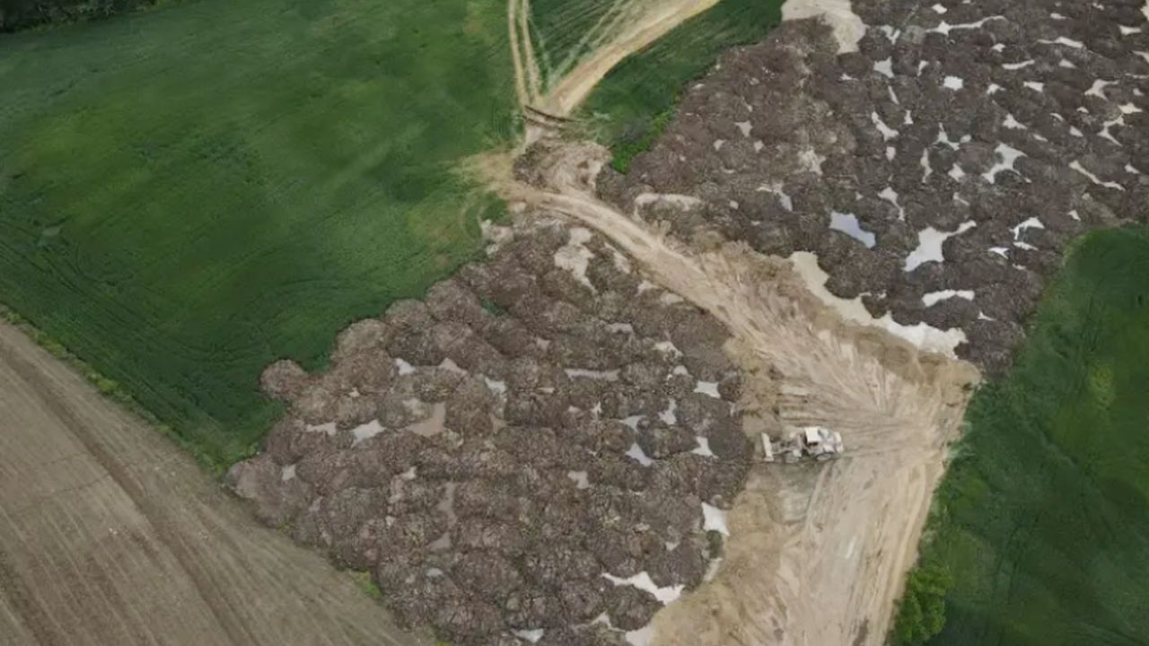 Kayseri Şeker'e Büyük Tepki! Çevre Katliamı Yapıyor...